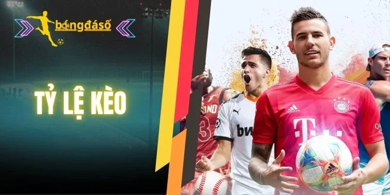 Thông tin quan trọng được làm mới không ngừng